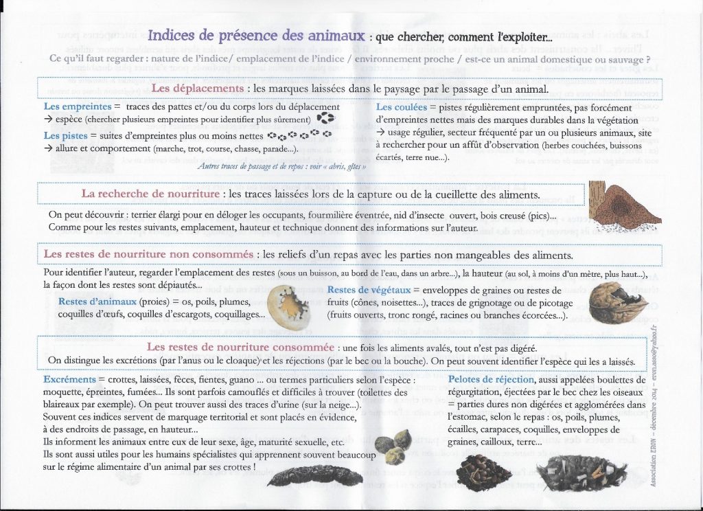 1) Indice de présence des animaux