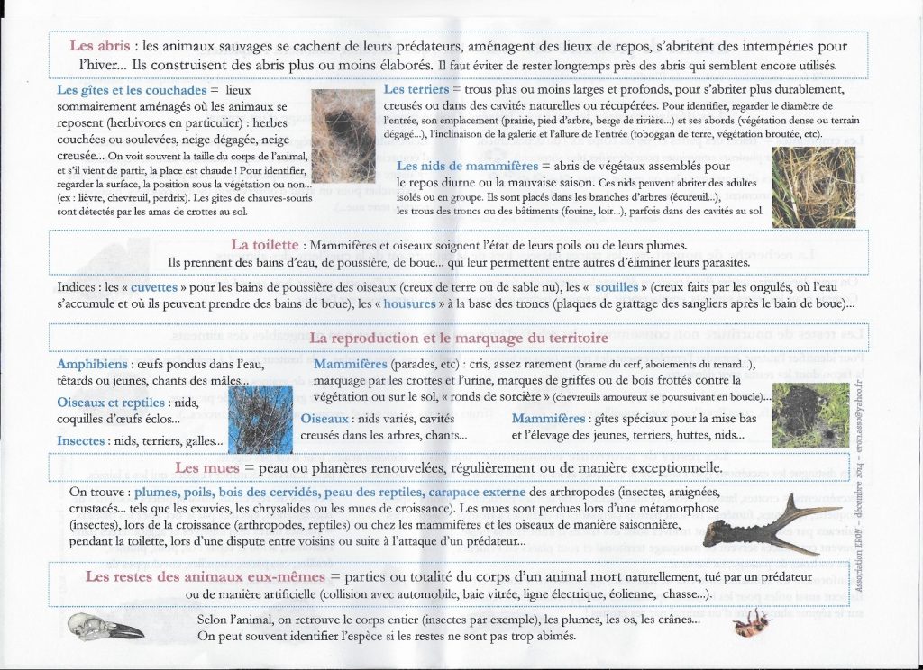 2) Indice de présence des animaux