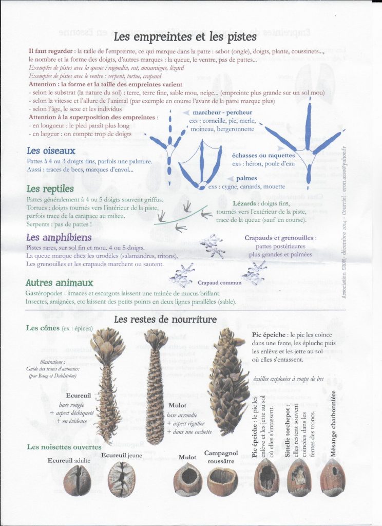3) Les empreintes et les pistes