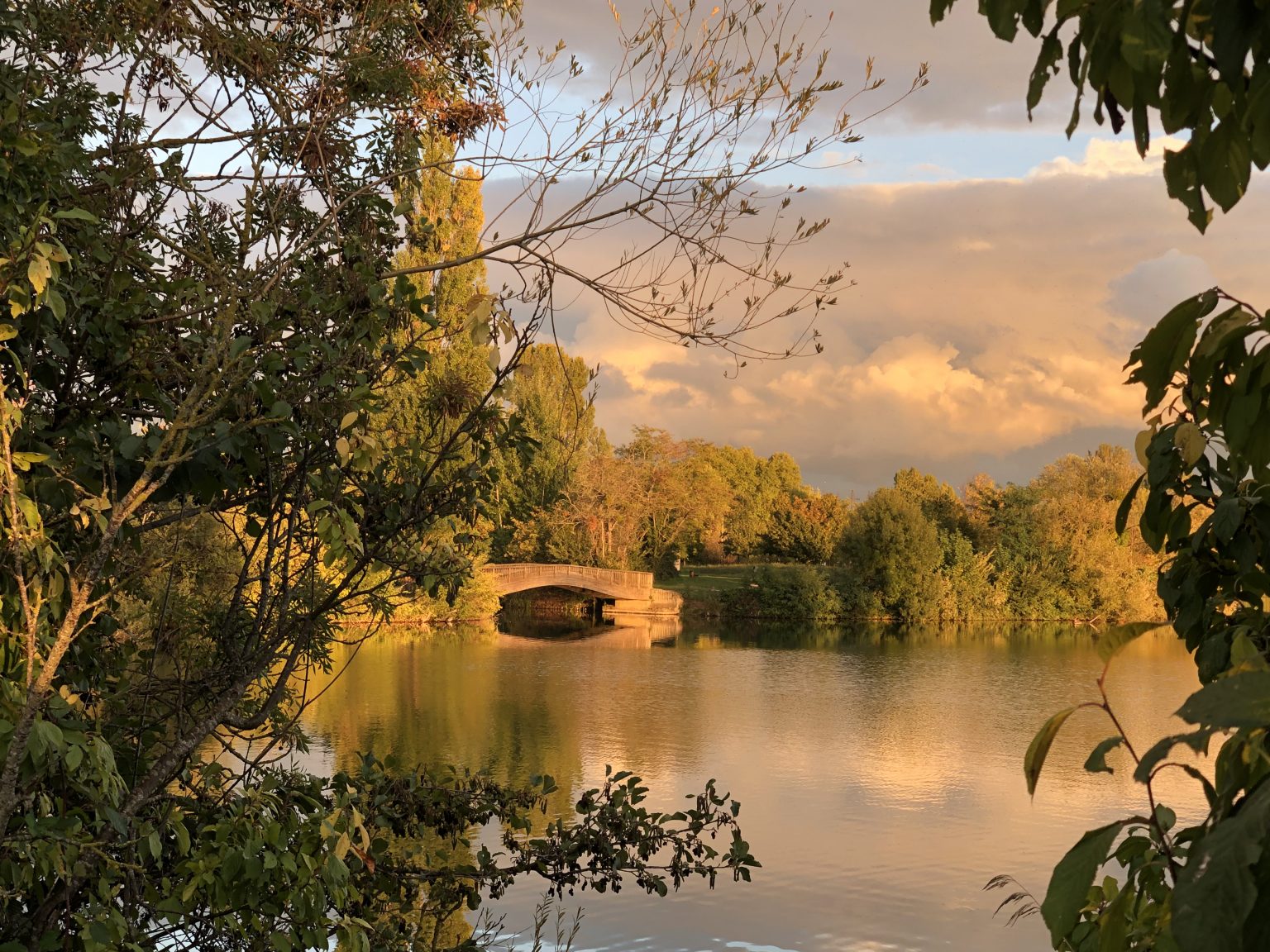 Image de la page d'accueil ; l'automne