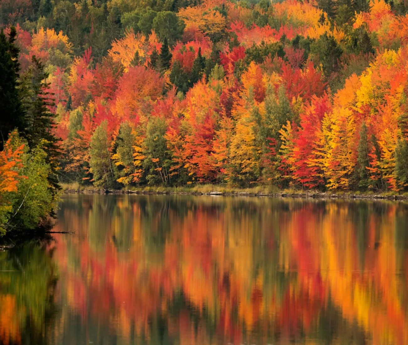 automne